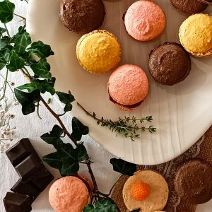 Atelier de macarons France